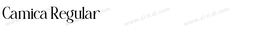 Camica Regular字体转换 Camica Regular字体转换